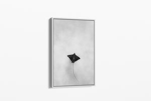 Light Flight | Wildlife Collection