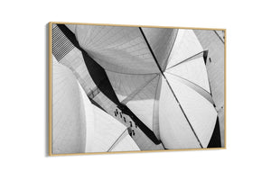 Meeting Place - Sydney, NSW Australia (Copy)