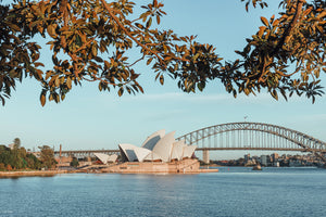 Mrs Macquiaries Chair - Sydney, NSW Australia