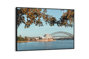 Mrs Macquiaries Chair - Sydney, NSW Australia