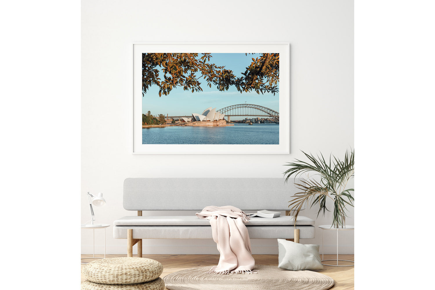 Mrs Macquiaries Chair - Sydney, NSW Australia