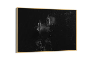 Migration | Wildlife Collection