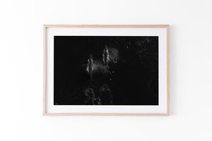 Migration | Wildlife Collection