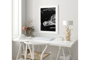 Opera House Aerial Portrait I - Sydney, NSW Australia