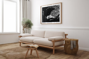 Opera House Aerial Landscape BW - Sydney, NSW Australia