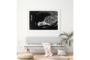 Opera House Aerial Landscape BW - Sydney, NSW Australia