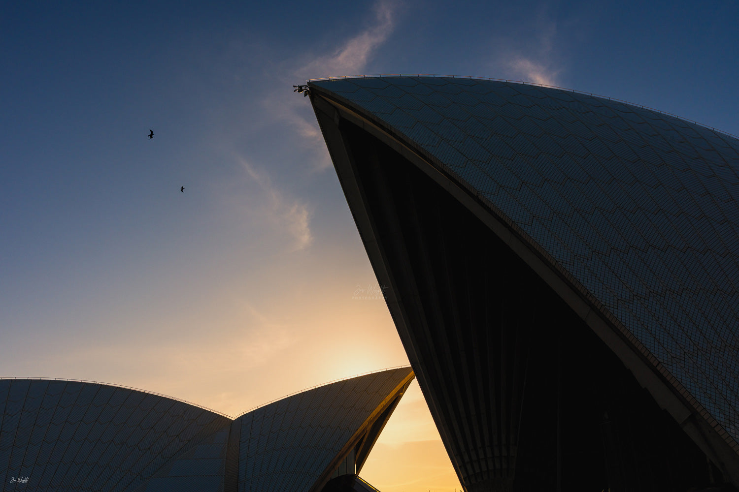 Opera House Colour Symphony - Sydney, NSW Australia