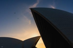 Opera House Colour Symphony - Sydney, NSW Australia