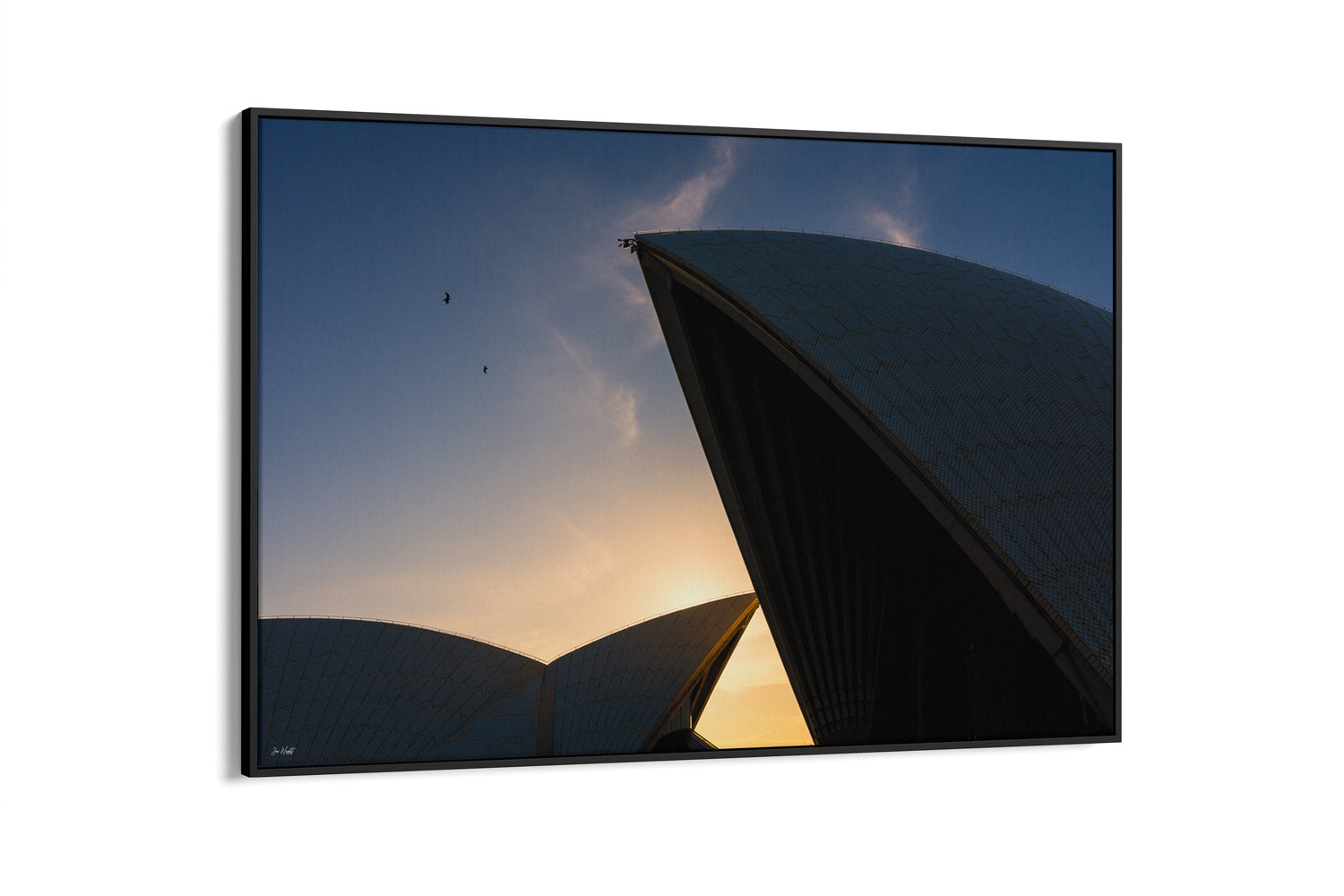 Opera House Colour Symphony - Sydney, NSW Australia