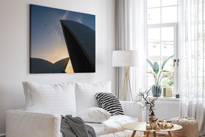 Opera House Colour Symphony - Sydney, NSW Australia