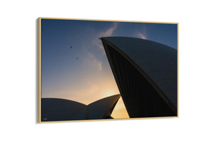 Opera House Colour Symphony - Sydney, NSW Australia