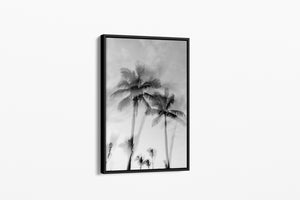 Tropic Palms "B&W" - Palms Collection