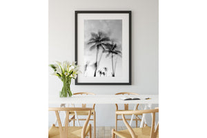 Tropic Palms "B&W" - Palms Collection