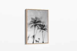 Tropic Palms "B&W" - Palms Collection