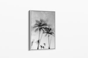 Tropic Palms "B&W" - Palms Collection
