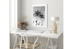 Tropic Palms "B&W" - Palms Collection
