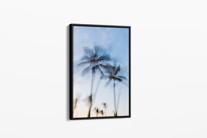Tropic Palms "Colour" - Palms Collection