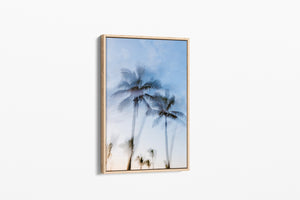 Tropic Palms "Colour" - Palms Collection