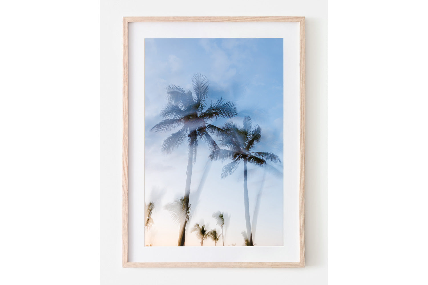 Tropic Palms "Colour" - Palms Collection