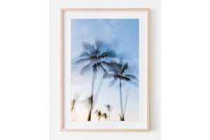 Tropic Palms "Colour" - Palms Collection