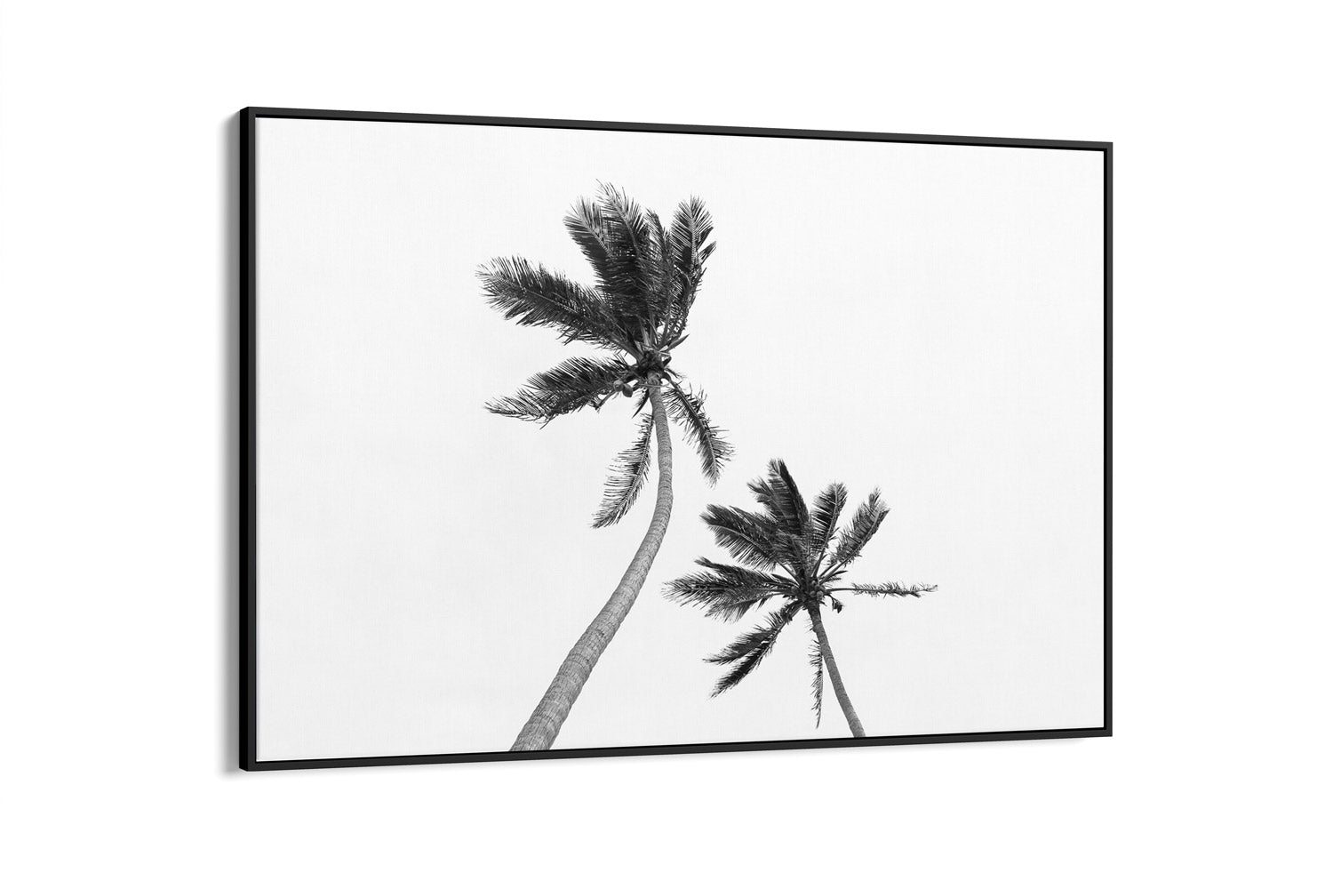 Two Palms To Heaven | Life's A Beach Collection