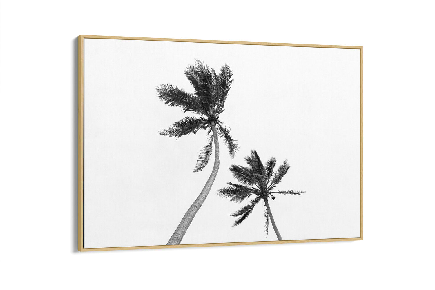 Two Palms To Heaven | Life's A Beach Collection