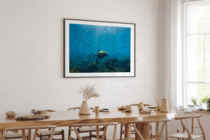 Perfectly Imperfect | Wildlife Collection