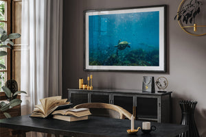 Perfectly Imperfect | Wildlife Collection