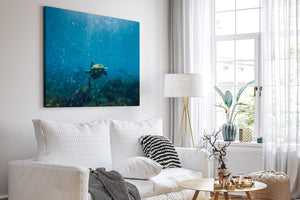 Perfectly Imperfect | Wildlife Collection