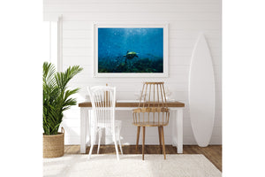 Perfectly Imperfect | Wildlife Collection