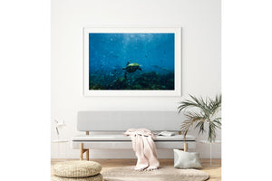 Perfectly Imperfect | Wildlife Collection