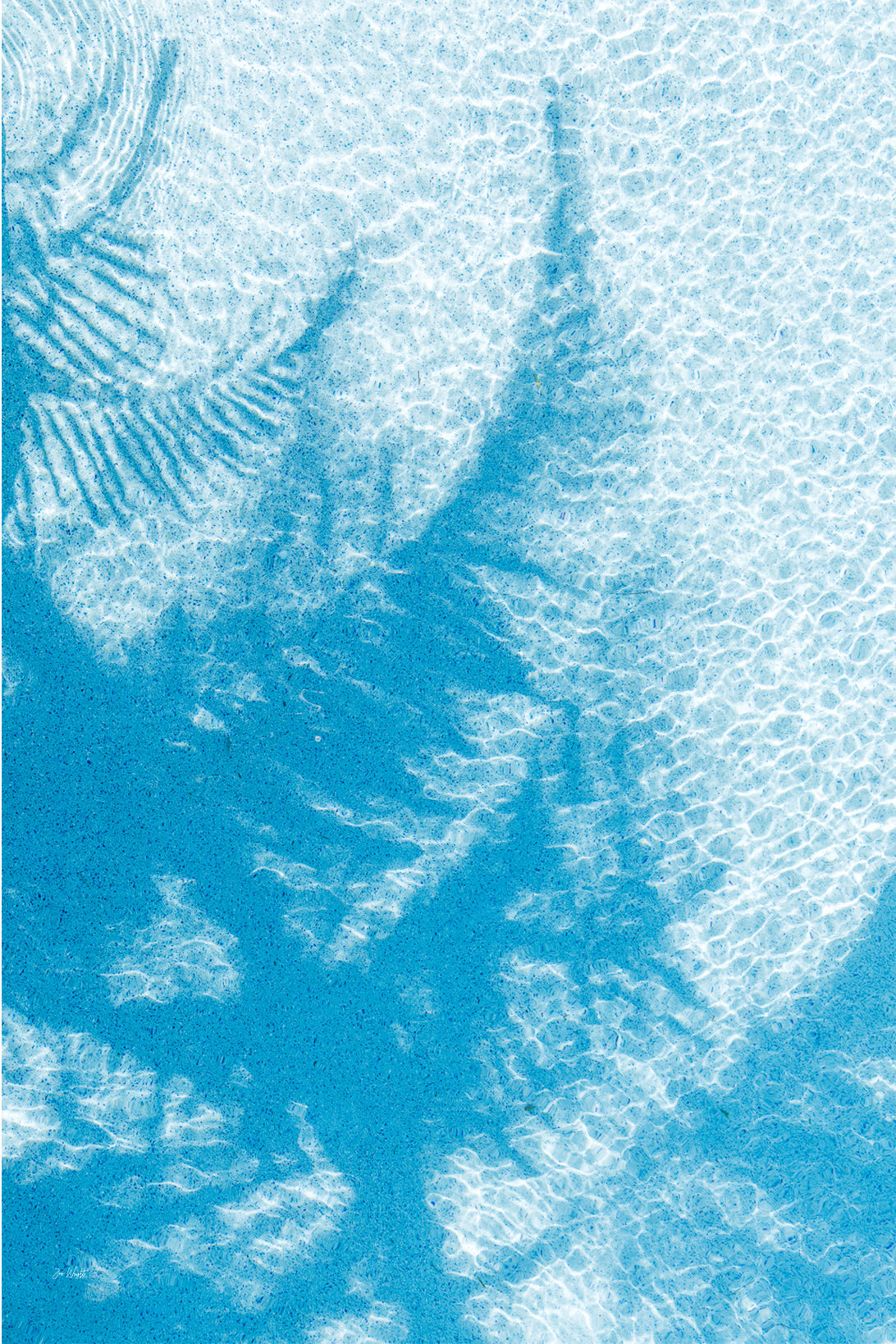 Overhead view of a palm tree shadow falling across a bright aqua swimming pool with rippling sunlight, a summer wall print.