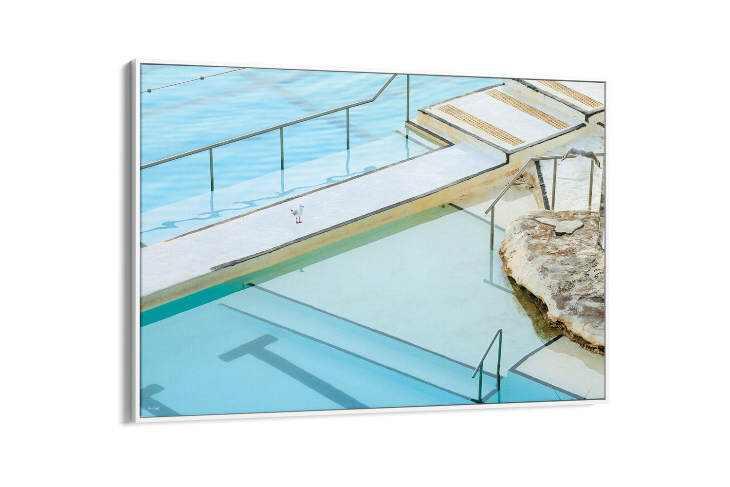 Seagull Lines - Bondi - NSW, Australia