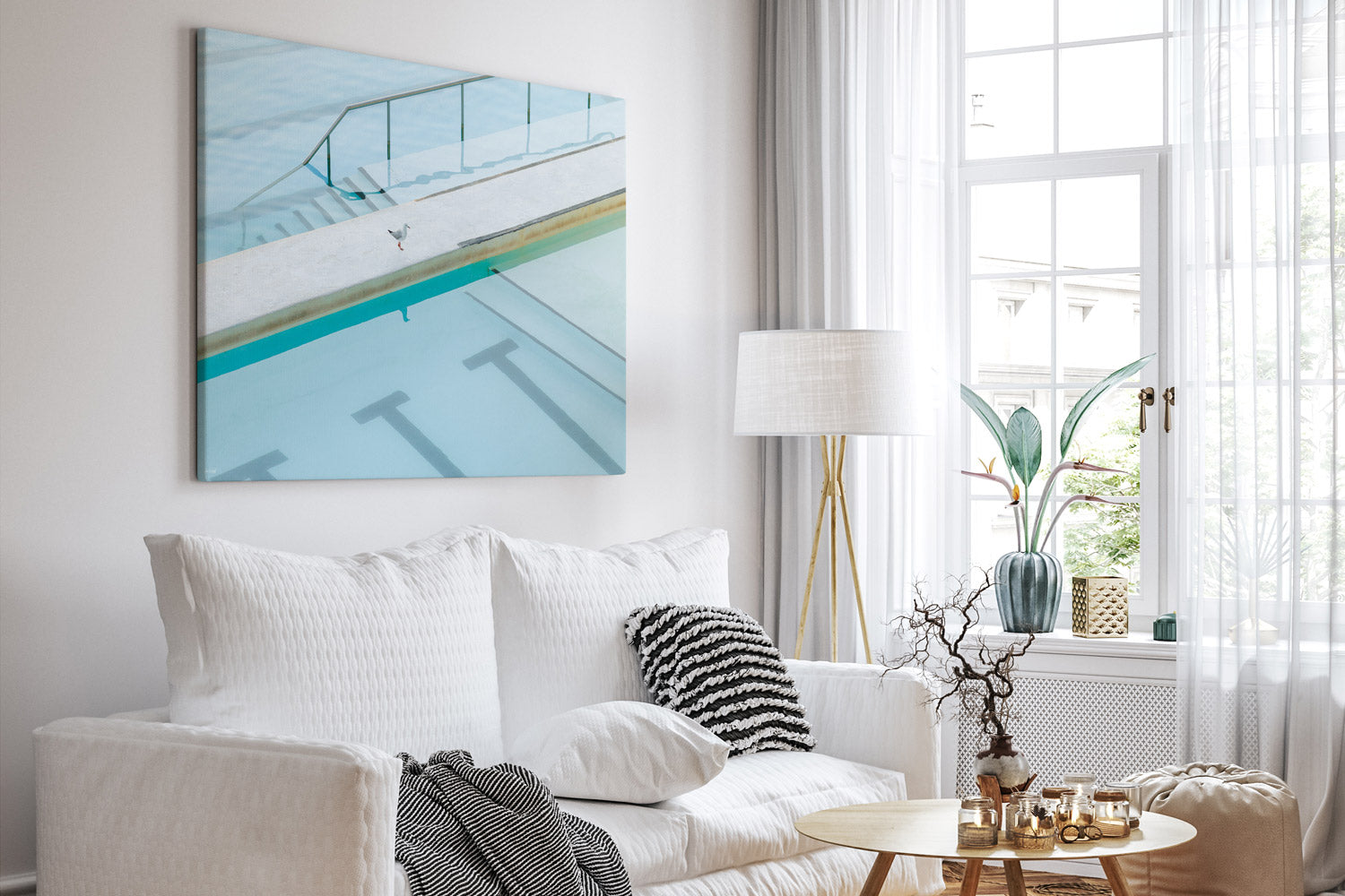 Seagull Reflection - Bondi - NSW, Australia