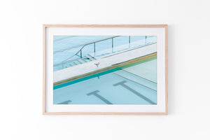 Seagull Reflection - Bondi - NSW, Australia