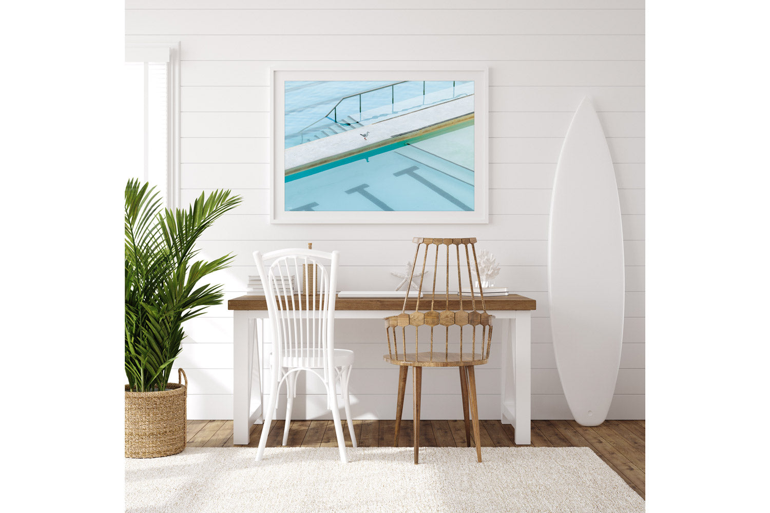 Seagull Reflection - Bondi - NSW, Australia