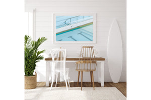 Seagull Reflection - Bondi - NSW, Australia