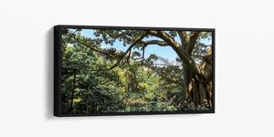 Secret Garden - Sydney, NSW Australia