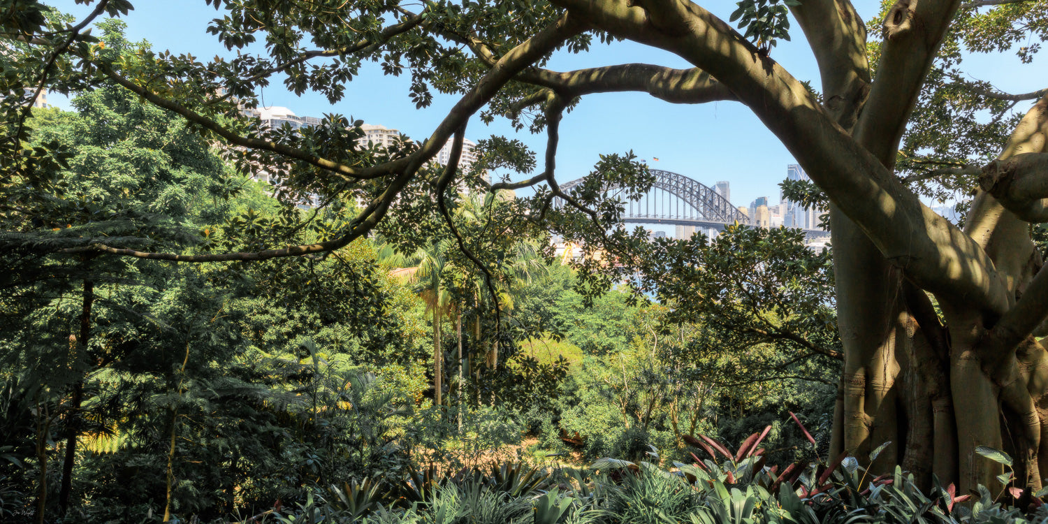 Secret Garden - Sydney, NSW Australia