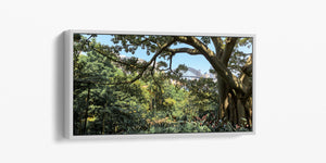 Secret Garden - Sydney, NSW Australia