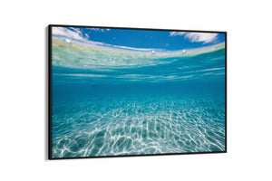 Framed Canvas underwater art