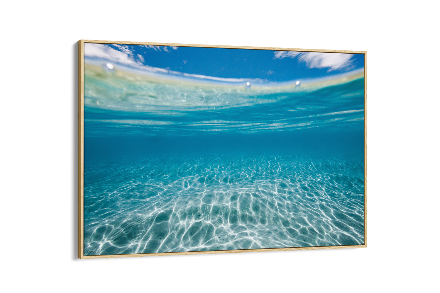 Framed canvas art on wall underwater photography