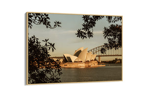 Sydney Opera House View II - Sydney, NSW Australia