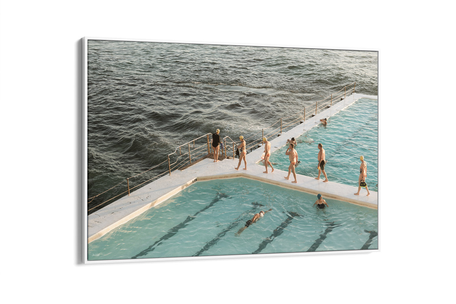 Bondi Locals - Bondi Beach- NSW, Australia