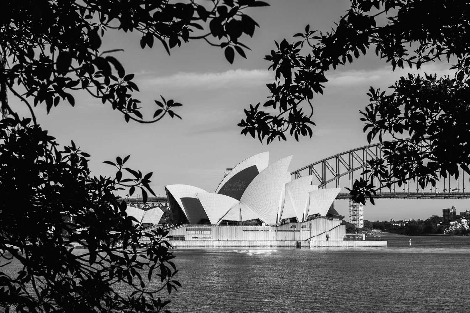 The View - Sydney, NSW Australia