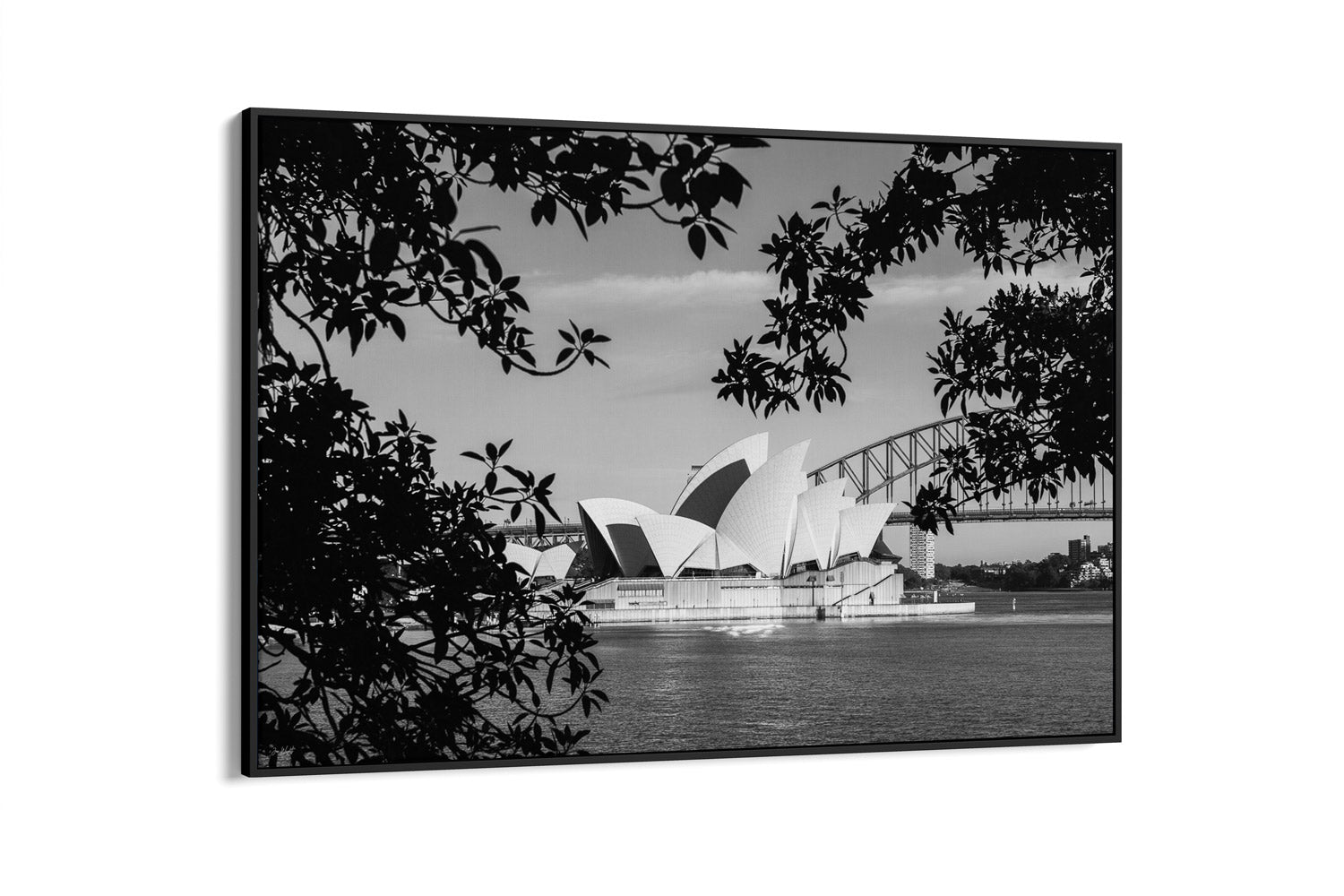 The View - Sydney, NSW Australia