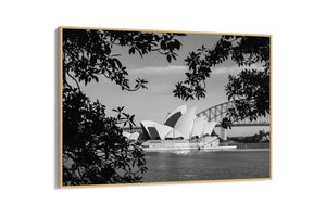 The View - Sydney, NSW Australia