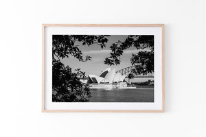 The View - Sydney, NSW Australia