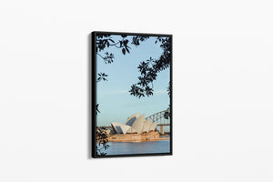 The View - Sydney, NSW Australia