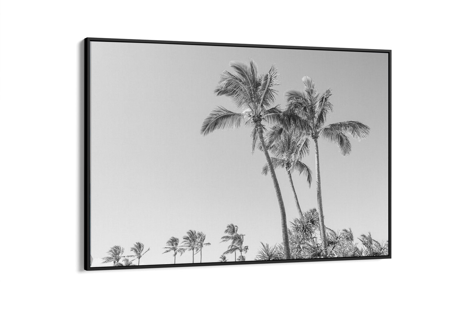 Tropic Oasis | Life's A Beach Collection